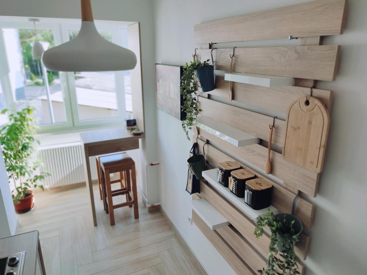 Apartman Lena Apartment ทูซลา ภายนอก รูปภาพ